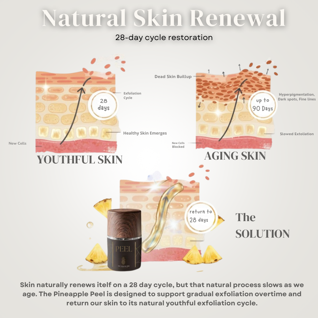 Natual skin renewal infograph