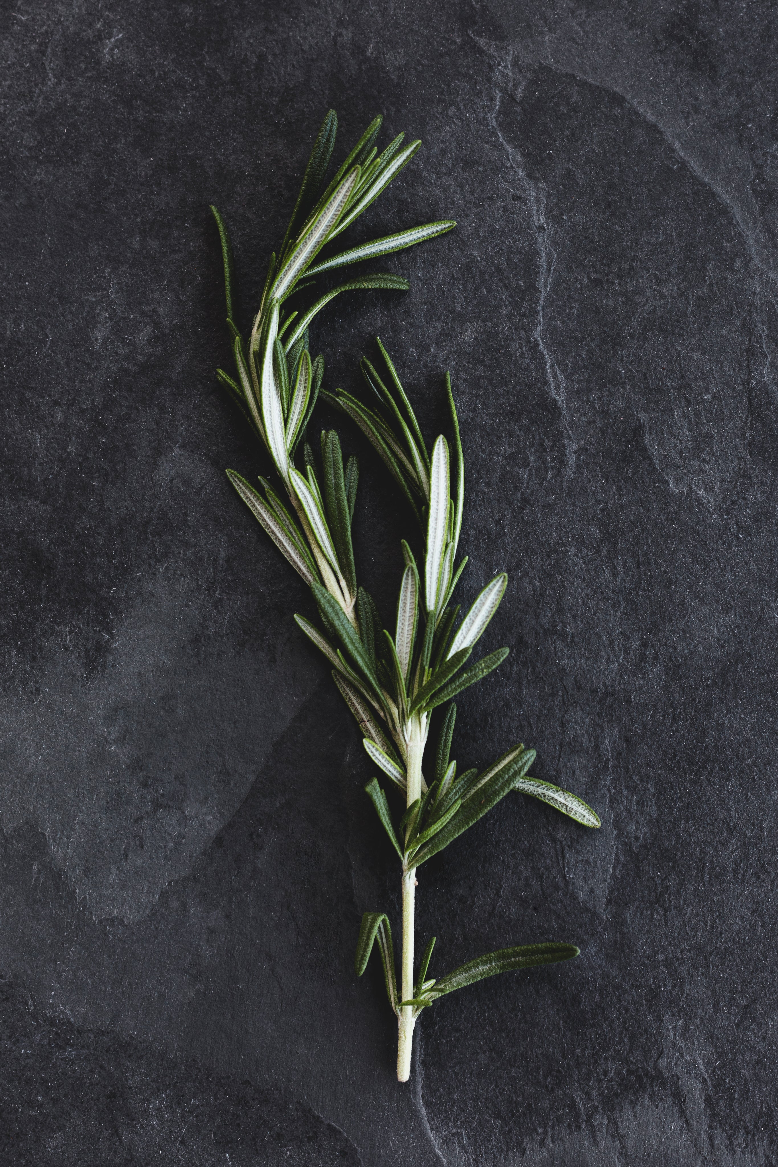 ingredient on black slate